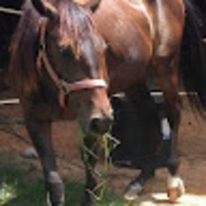 Meet your Posher, Karen